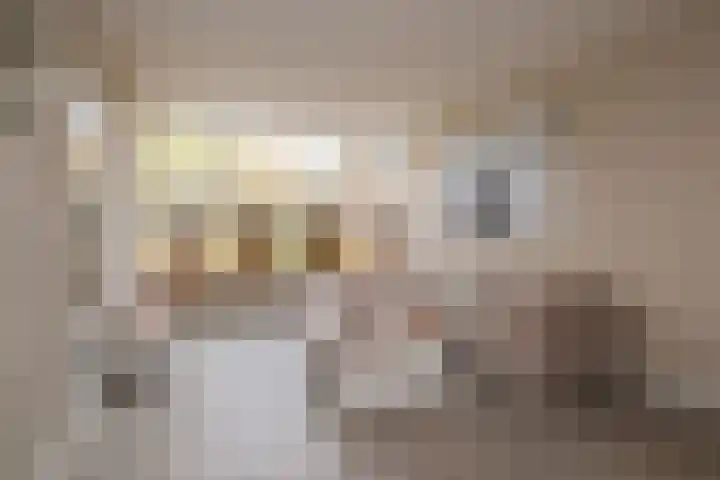 Hoxwier 1 Almelo thumbnail 5