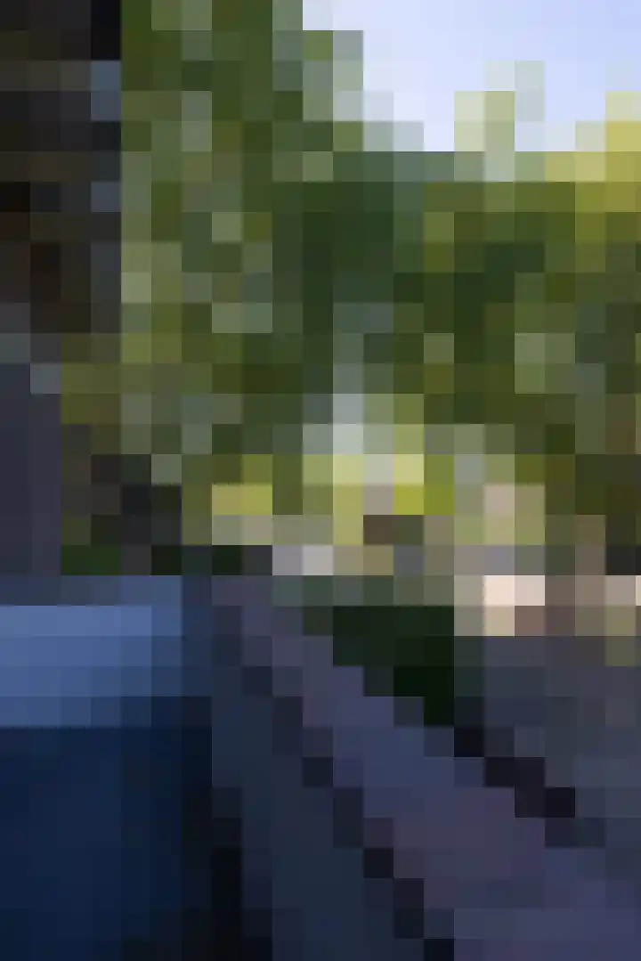 Hoyledesingel 41 Rotterdam thumbnail 21