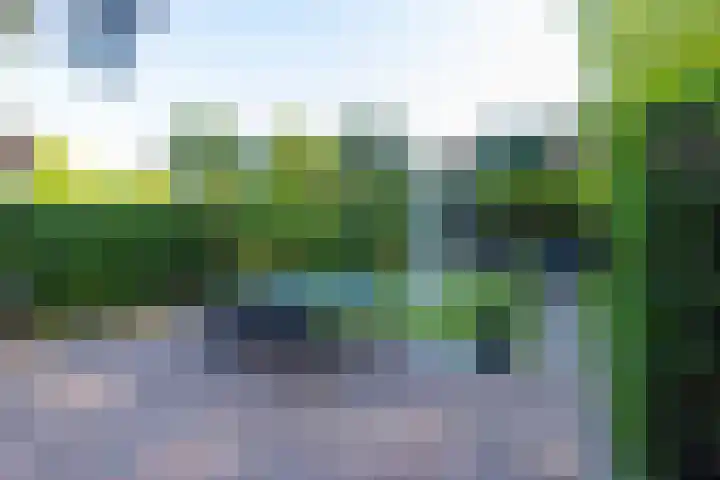 Hoyledesingel 41 Rotterdam thumbnail 42