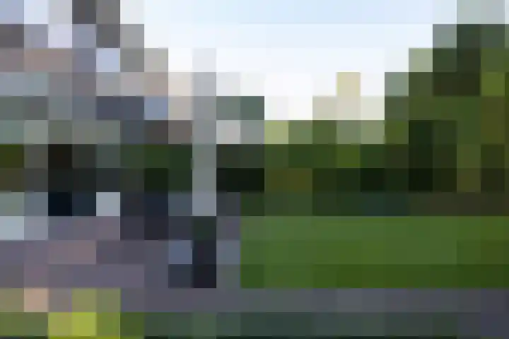 Hoyledesingel 41 Rotterdam thumbnail 43