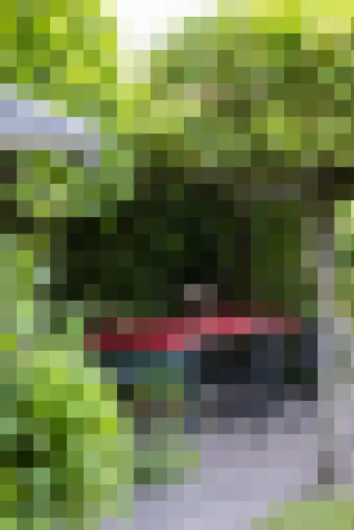 Hoyledesingel 41 Rotterdam thumbnail 45