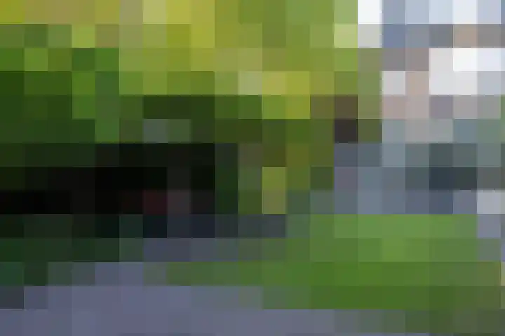 Hoyledesingel 41 Rotterdam thumbnail 46