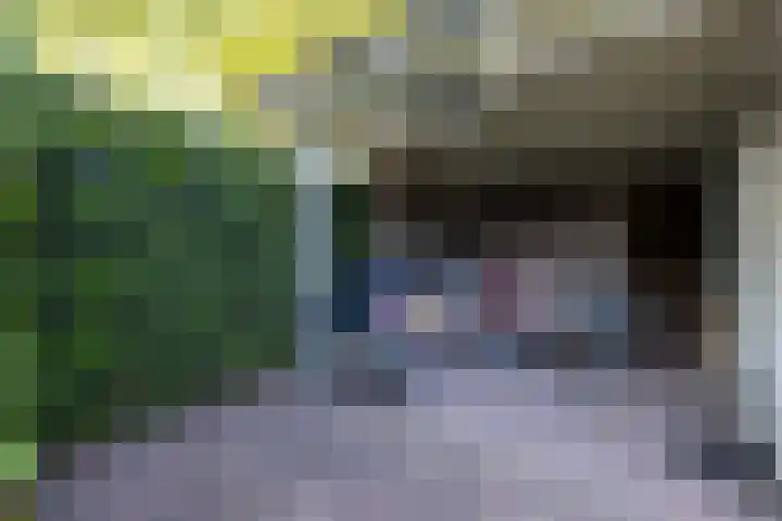 Hoyledesingel 41 Rotterdam thumbnail 47