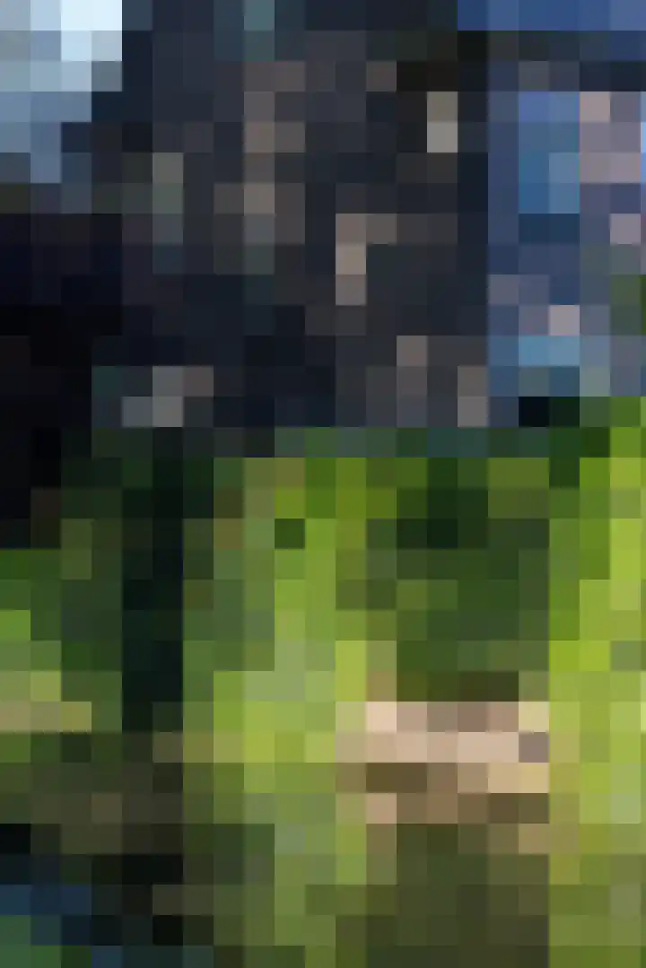 Hoyledesingel 41 Rotterdam thumbnail 48