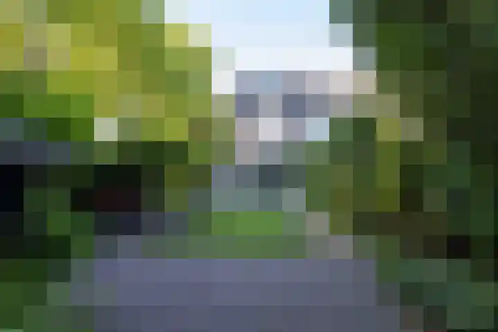 Hoyledesingel 41 Rotterdam thumbnail 5