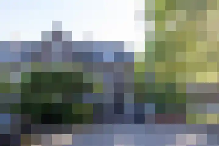Hoyledesingel 41 Rotterdam thumbnail 52