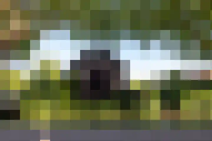 Hoyledesingel 41 Rotterdam thumbnail 53