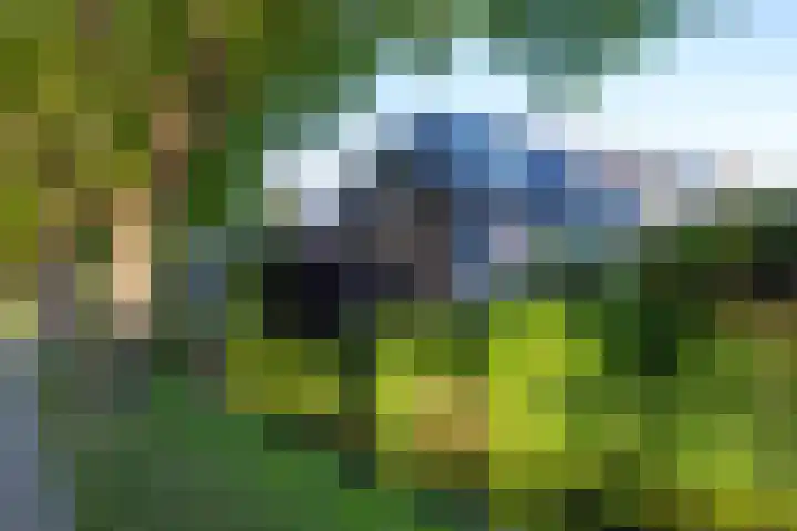 Hoyledesingel 41 Rotterdam thumbnail 54