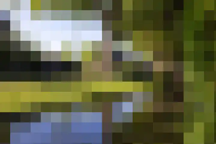 Hoyledesingel 41 Rotterdam thumbnail 55