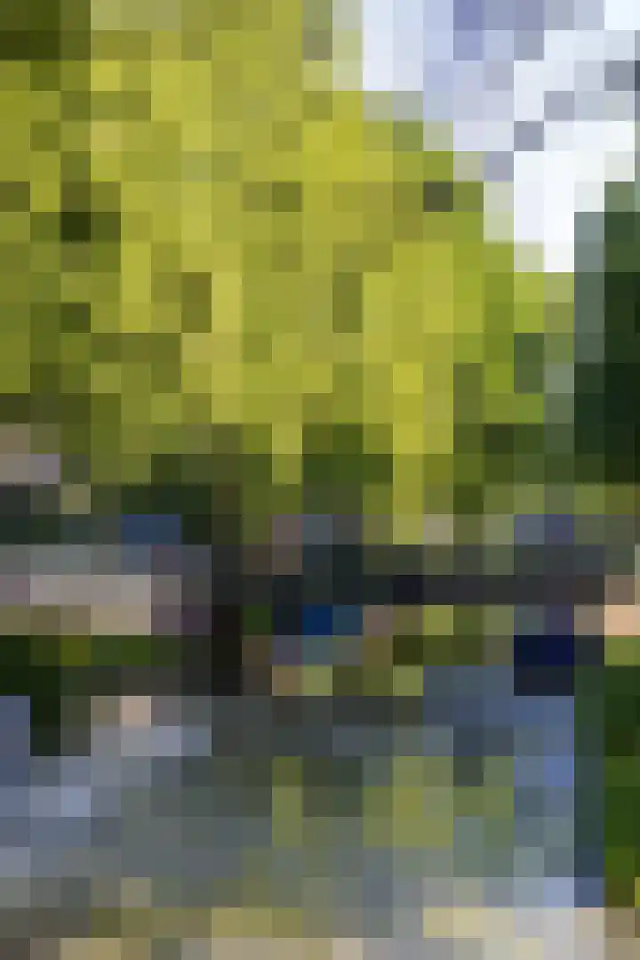Hoyledesingel 41 Rotterdam thumbnail 57