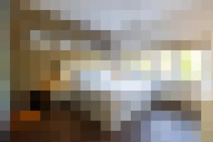 Hoyledesingel 44 Rotterdam thumbnail 19