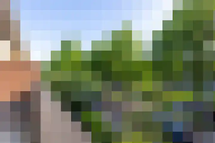 Hoyledesingel 44 Rotterdam thumbnail 22