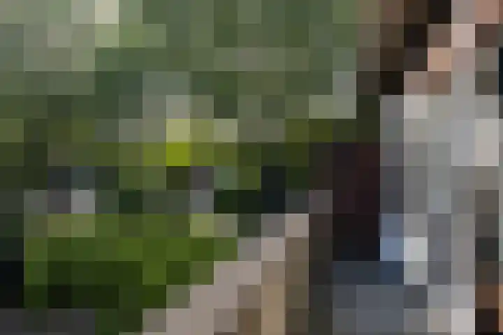 Hoyledesingel 44 Rotterdam thumbnail 23