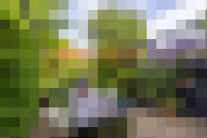 Hoyledesingel 44 Rotterdam thumbnail 40