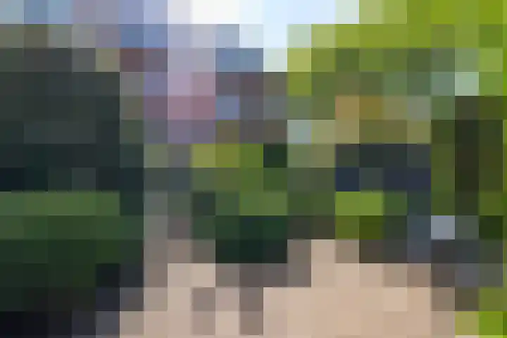 Hoyledesingel 44 Rotterdam thumbnail 43