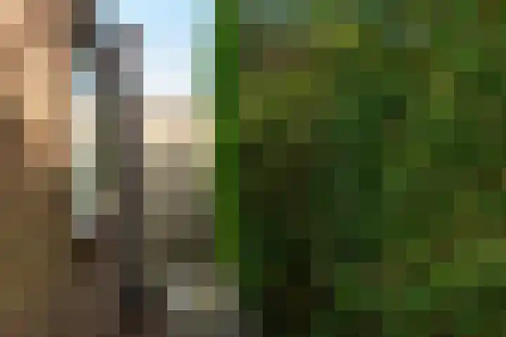 Hoyledesingel 44 Rotterdam thumbnail 47