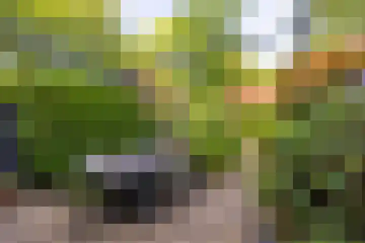 Hoyledesingel 44 Rotterdam thumbnail 5