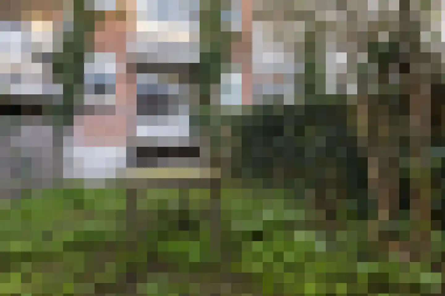 Hoyledestraat 15 B Rotterdam thumbnail 5