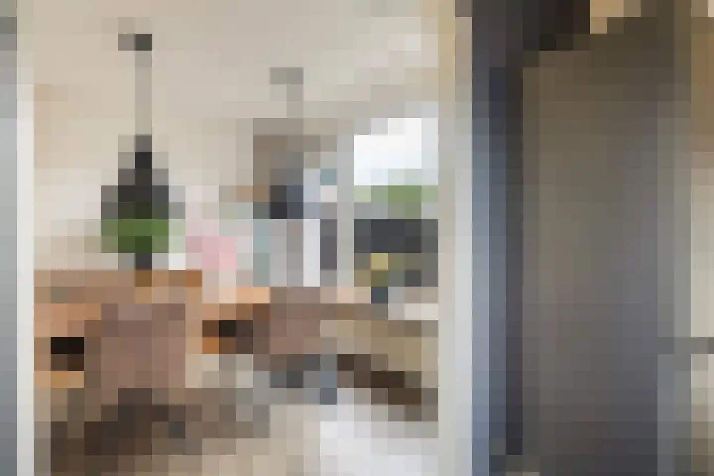 Hoyte Roucomastrjitte 11 Dronryp thumbnail 11