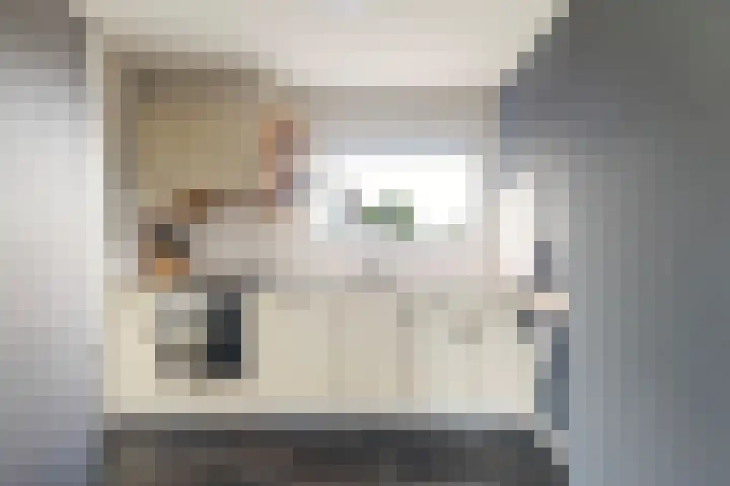 Hoyte Roucomastrjitte 11 Dronryp thumbnail 12