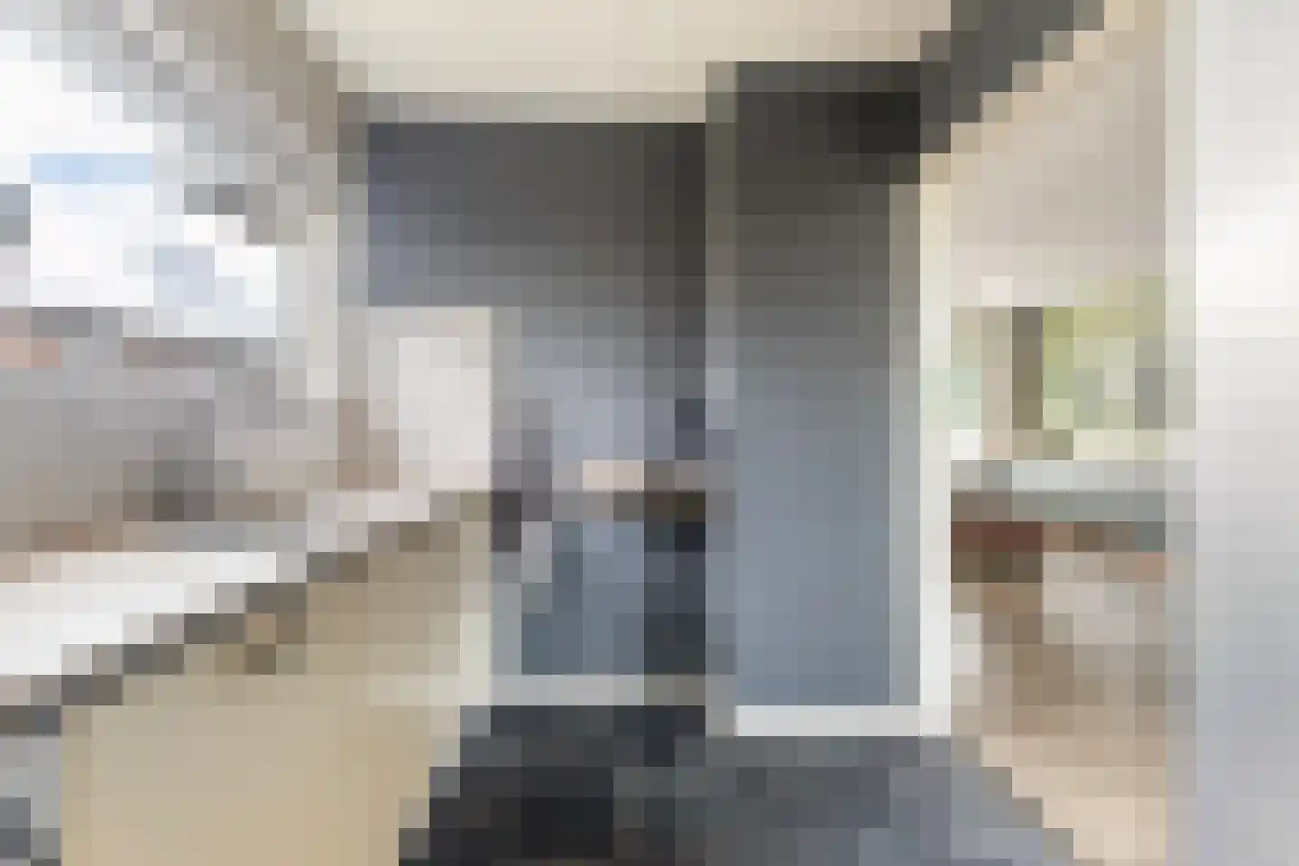 Hoyte Roucomastrjitte 11 Dronryp thumbnail 13