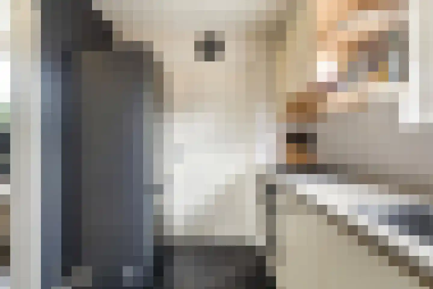 Hoyte Roucomastrjitte 11 Dronryp thumbnail 14