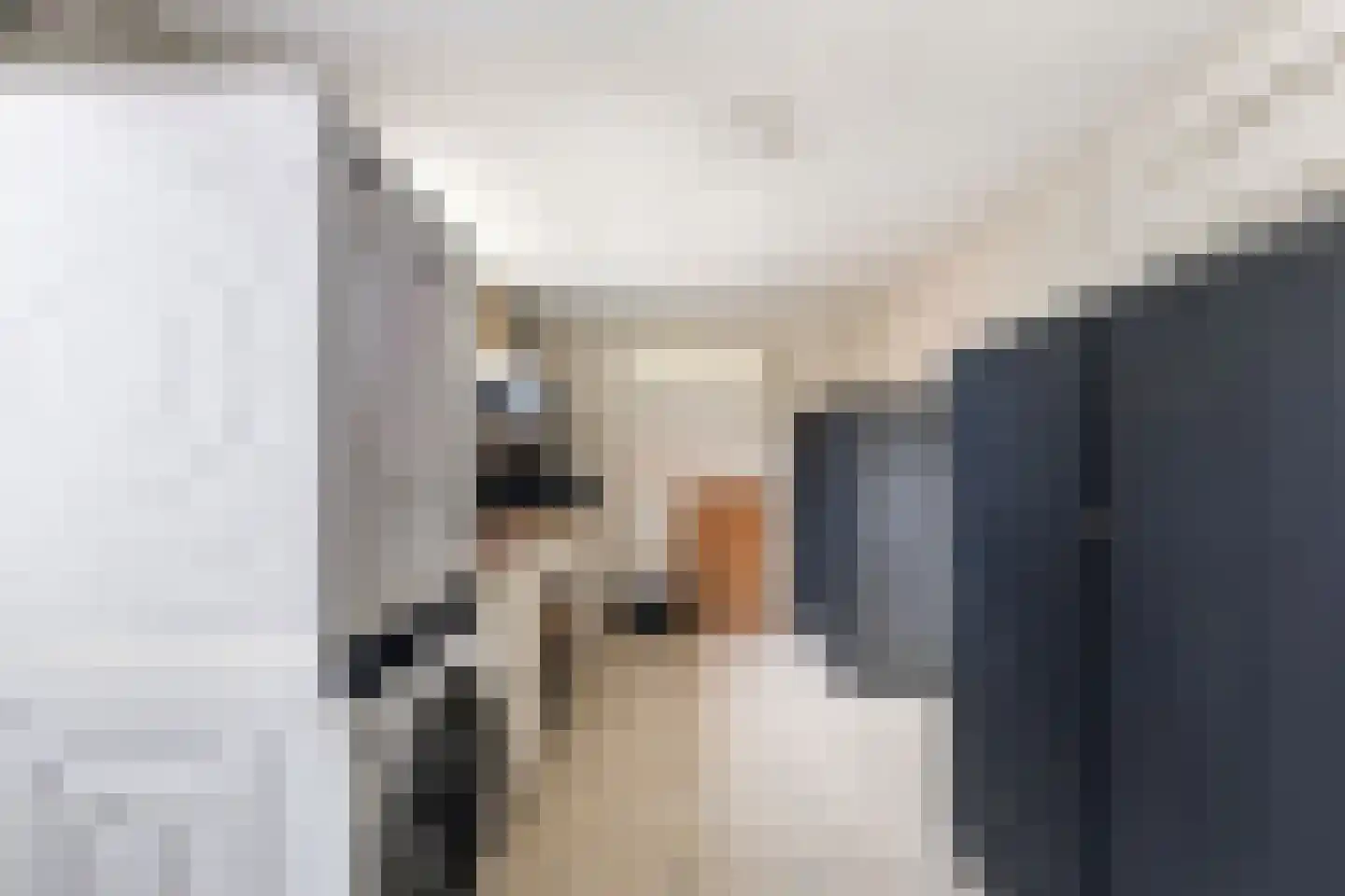 Hoyte Roucomastrjitte 11 Dronryp thumbnail 15