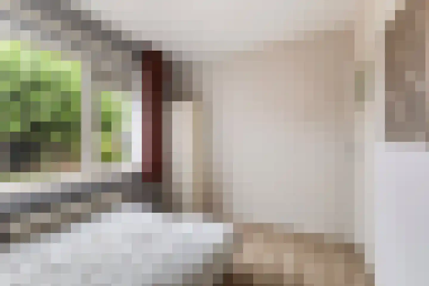 Hoyte Roucomastrjitte 11 Dronryp thumbnail 19
