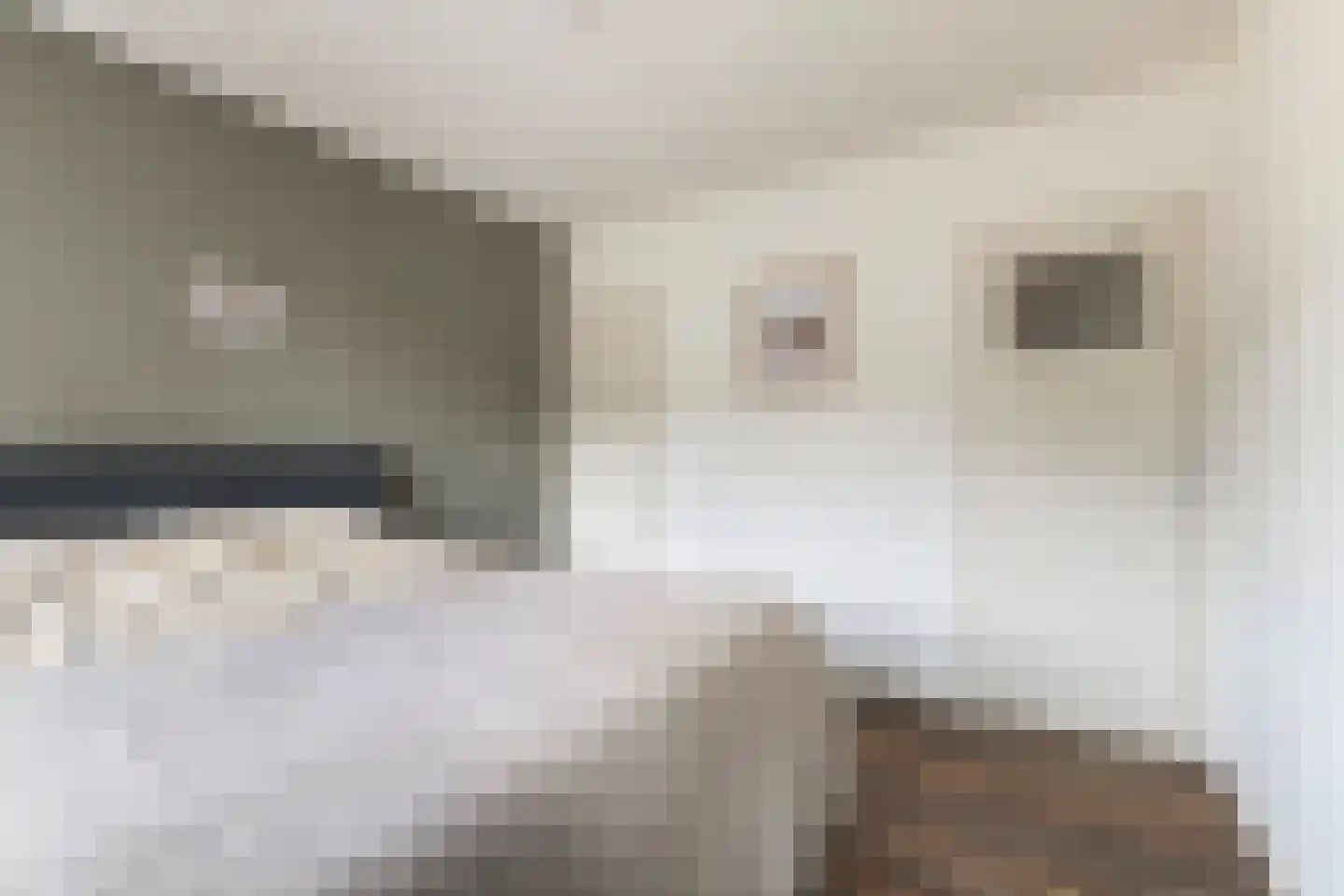 Hoyte Roucomastrjitte 11 Dronryp thumbnail 21