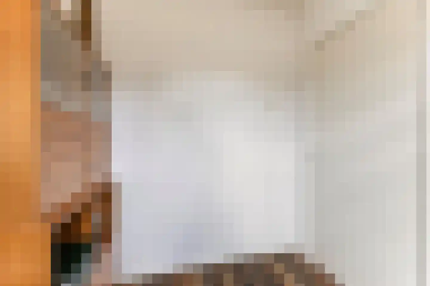 Hoyte Roucomastrjitte 11 Dronryp thumbnail 23