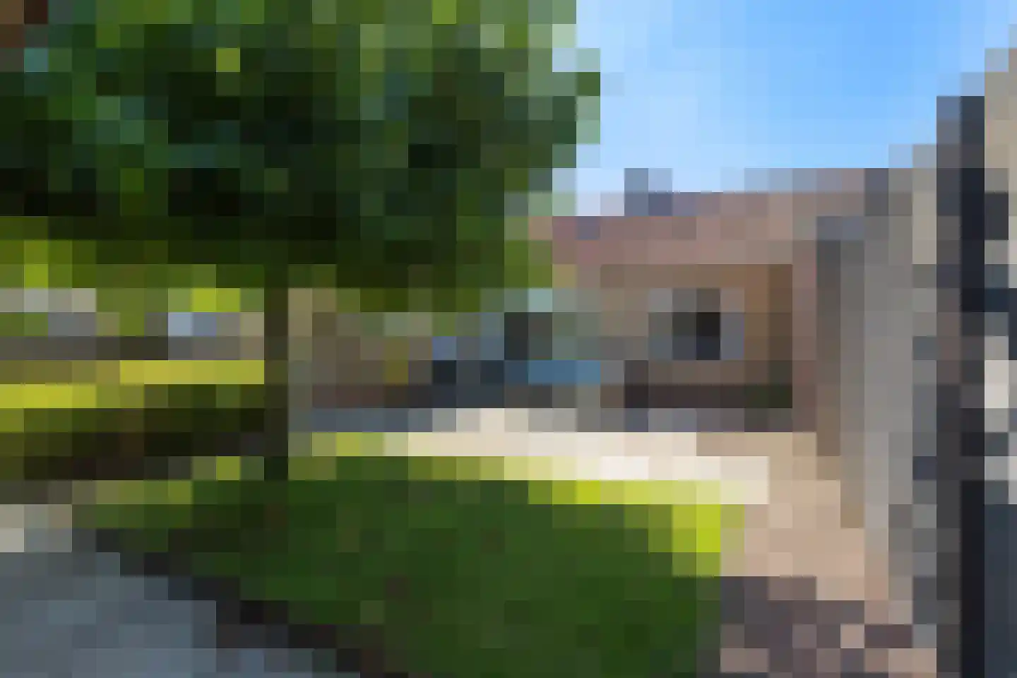 Hoyte Roucomastrjitte 11 Dronryp foto 3