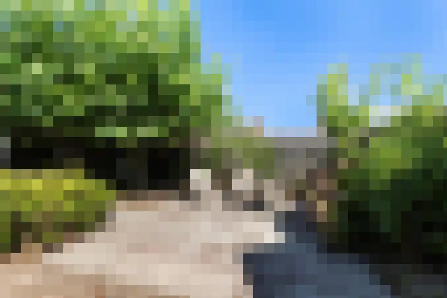 Hoyte Roucomastrjitte 11 Dronryp thumbnail 32
