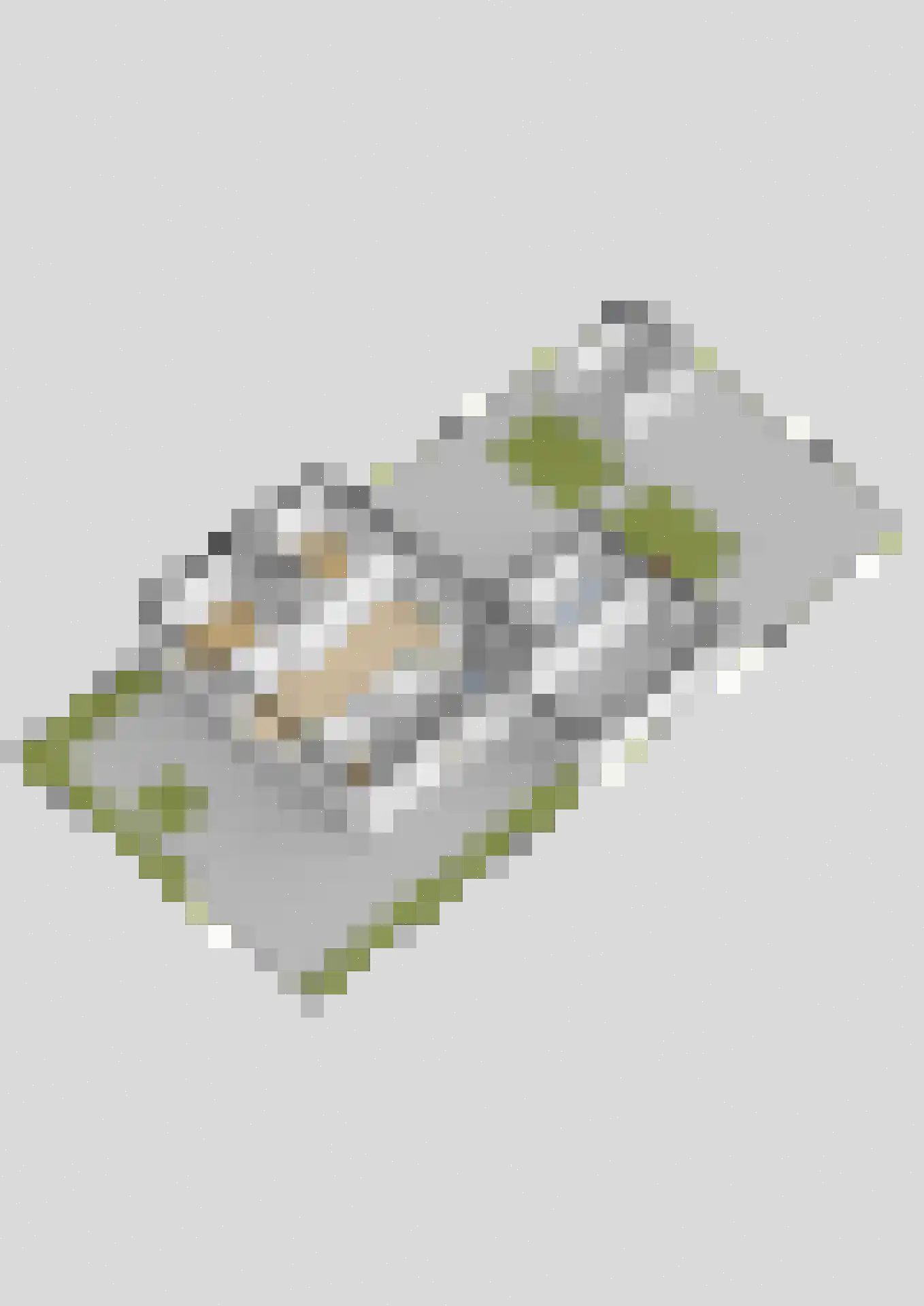 Hoyte Roucomastrjitte 11 Dronryp thumbnail 40