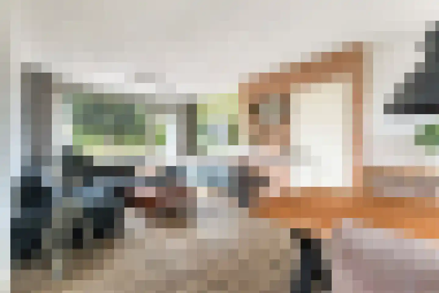 Hoyte Roucomastrjitte 11 Dronryp thumbnail 7