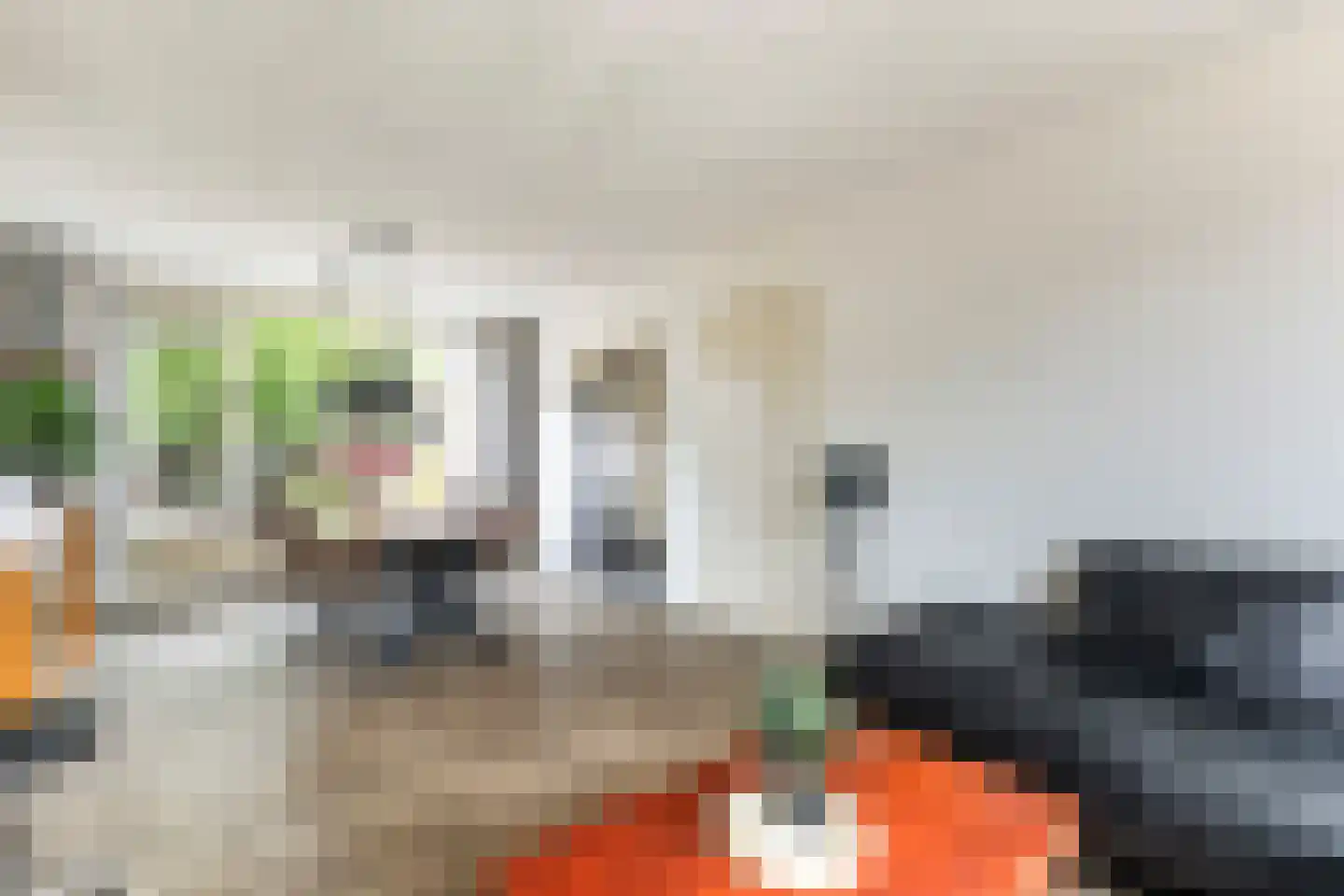 Hoyte Roucomastrjitte 11 Dronryp thumbnail 8