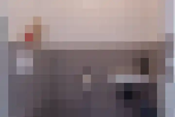 Hoyteslân 114 Goutum thumbnail 13