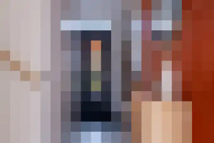 Hoyteslân 114 Goutum thumbnail 14