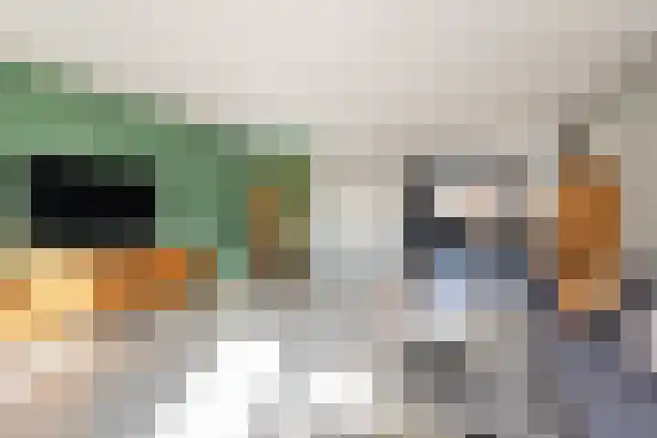 Hoyteslân 114 Goutum thumbnail 17