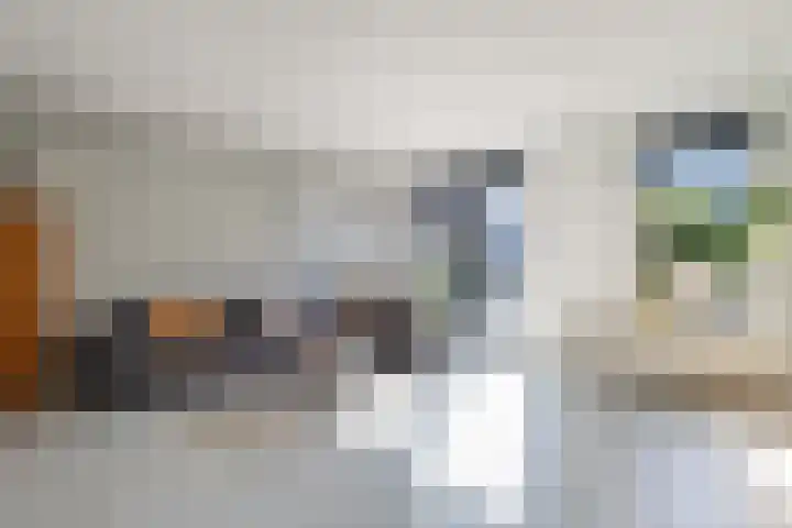 Hoyteslân 114 Goutum thumbnail 19