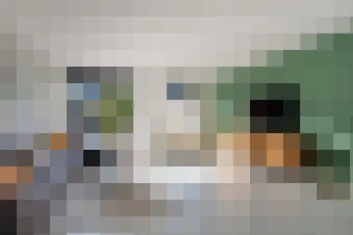 Hoyteslân 114 Goutum thumbnail 20