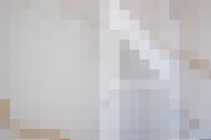 Hoyteslân 114 Goutum thumbnail 31