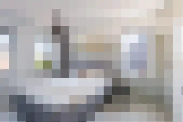 Hoyteslân 114 Goutum thumbnail 34