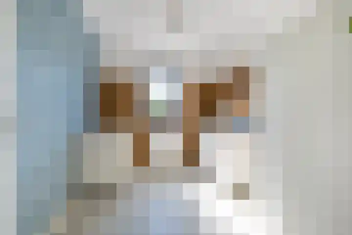 Hoyteslân 114 Goutum thumbnail 39