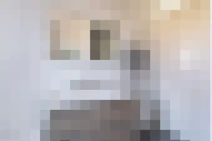 Hoyteslân 114 Goutum thumbnail 47