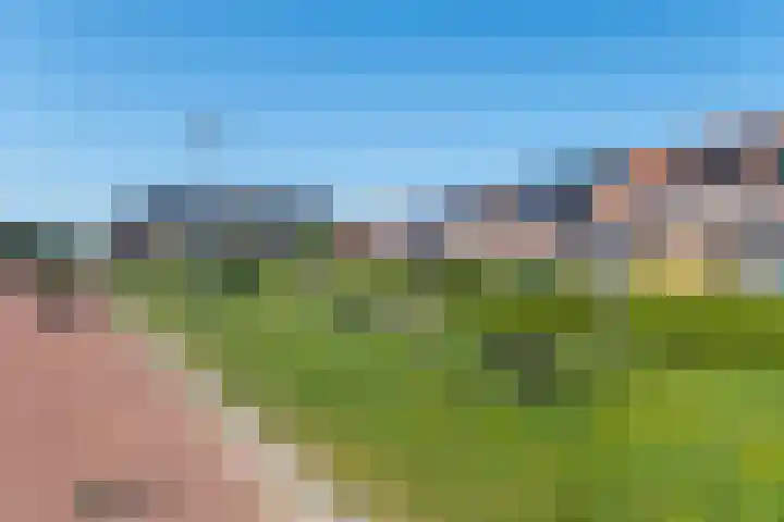 Hoyteslân 114 Goutum thumbnail 60
