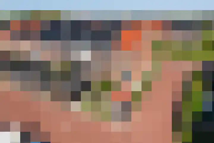 Hoyteslân 114 Goutum thumbnail 61