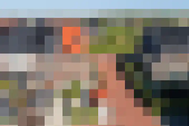 Hoyteslân 114 Goutum thumbnail 62