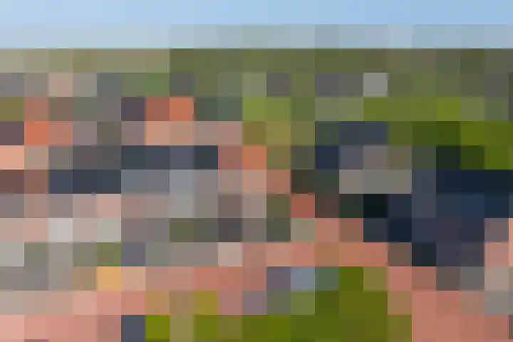 Hoyteslân 114 Goutum thumbnail 63