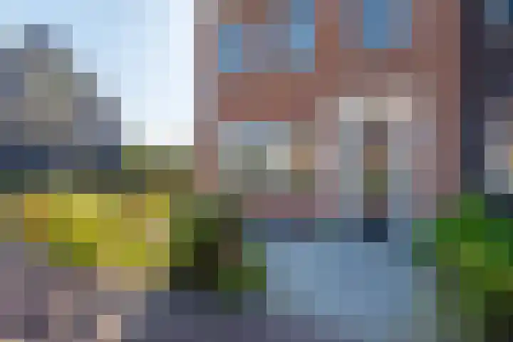 Hoyteslân 114 Goutum thumbnail 7