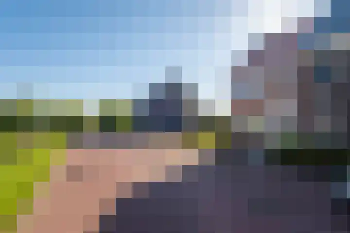 Hoyteslân 114 Goutum thumbnail 8